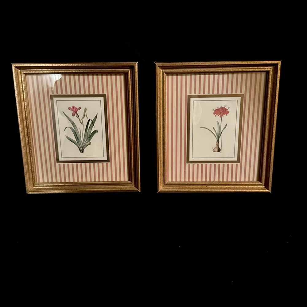 Pair of vintage botanical prints